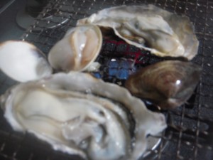 おすしが食べたい 002